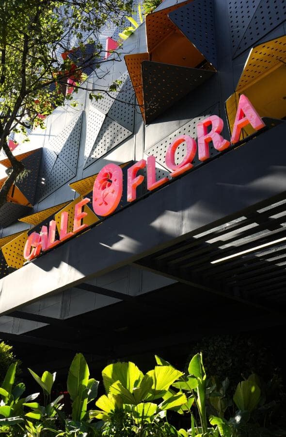 Calle Flora Hotel by Jalo 3