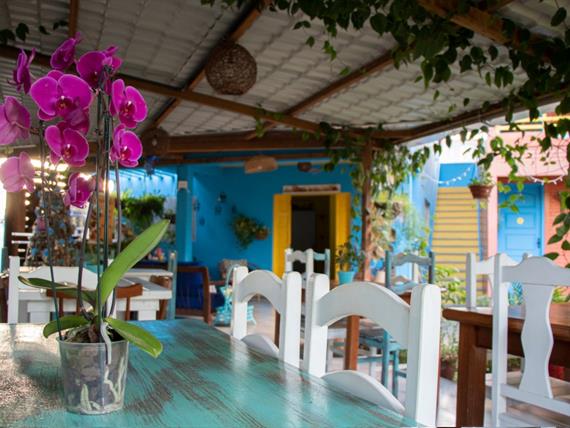 adobe express - file (6).jpg