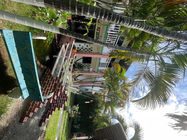 image1.jpg