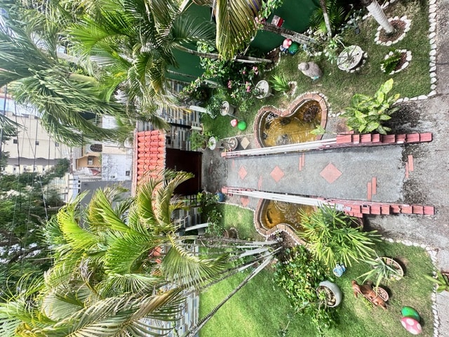 image4.jpg