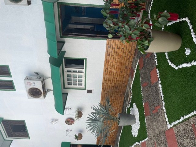 image1.jpg