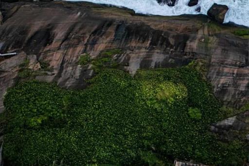 whatsapp image 2026-03-16 at 10.00.54 (4).jpeg