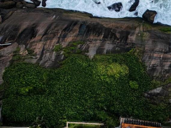 whatsapp image 2026-03-16 at 10.00.54 (4).jpeg