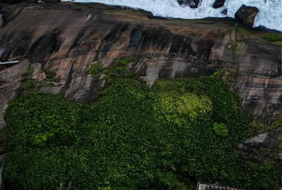 whatsapp image 2026-03-16 at 10.00.54 (4).jpeg