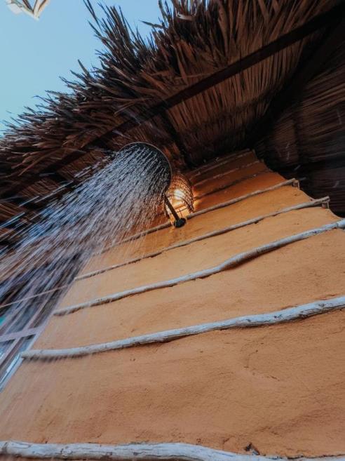33b4f7b5-78de-4d88-a908-c29f43eb929b.jpg