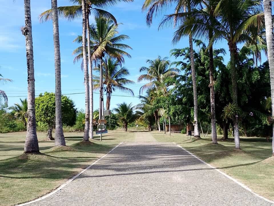 Coqueiral Praia Hotel 5