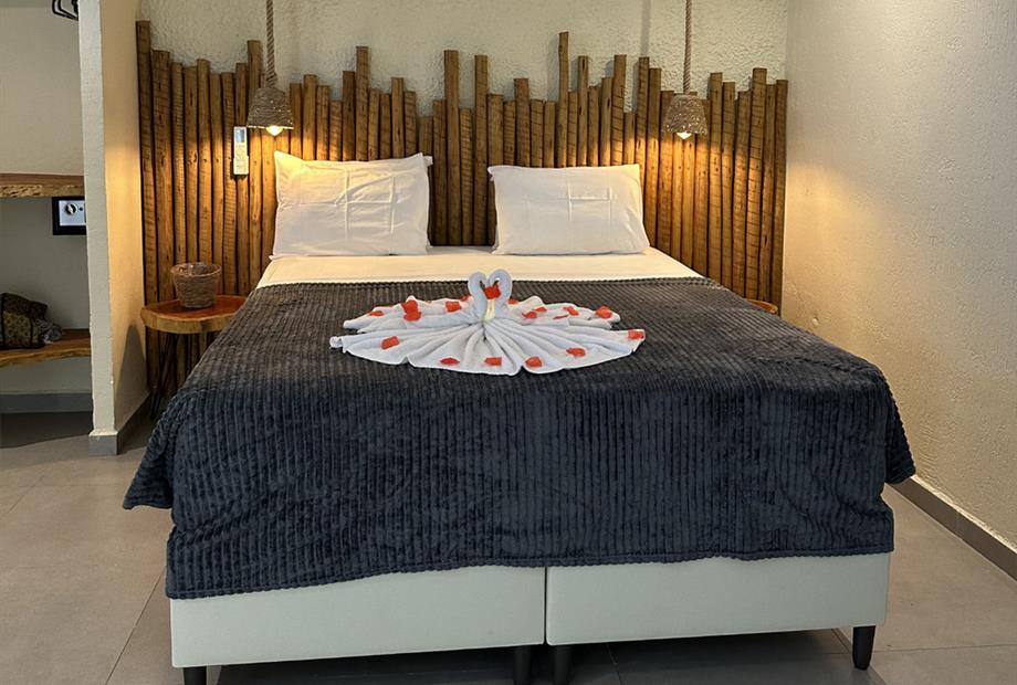 whatsapp image 2026-03-19 at 11.31.42(2).jpeg