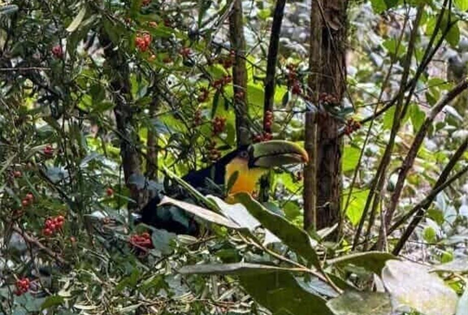 Chalé de 1 Quarto-86.jpg