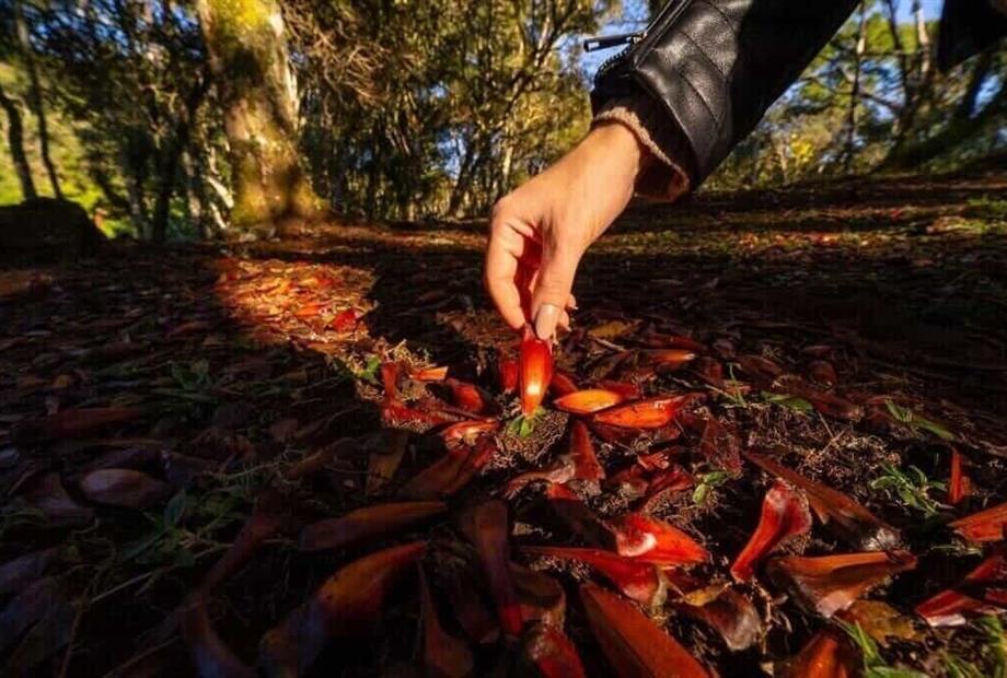 Chalé Superior-62.jpg