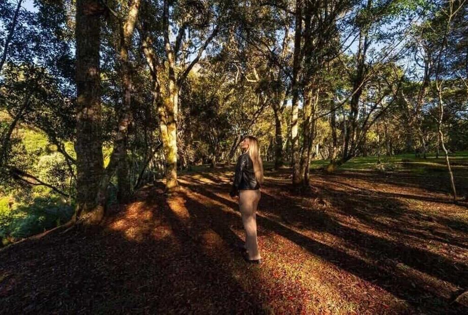 Chalé Superior-63.jpg