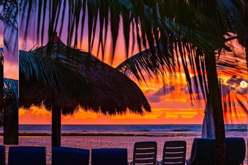 whatsapp image 2022-10-04 at 14.58.42.jpeg