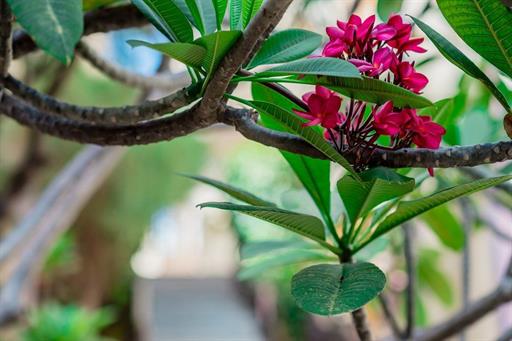 hotel (94) small.jpg