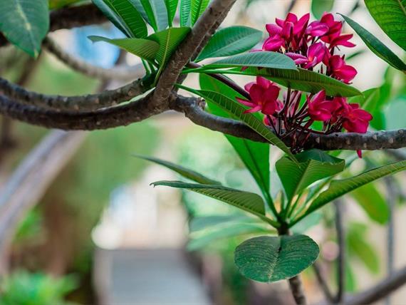 hotel (94) small.jpg