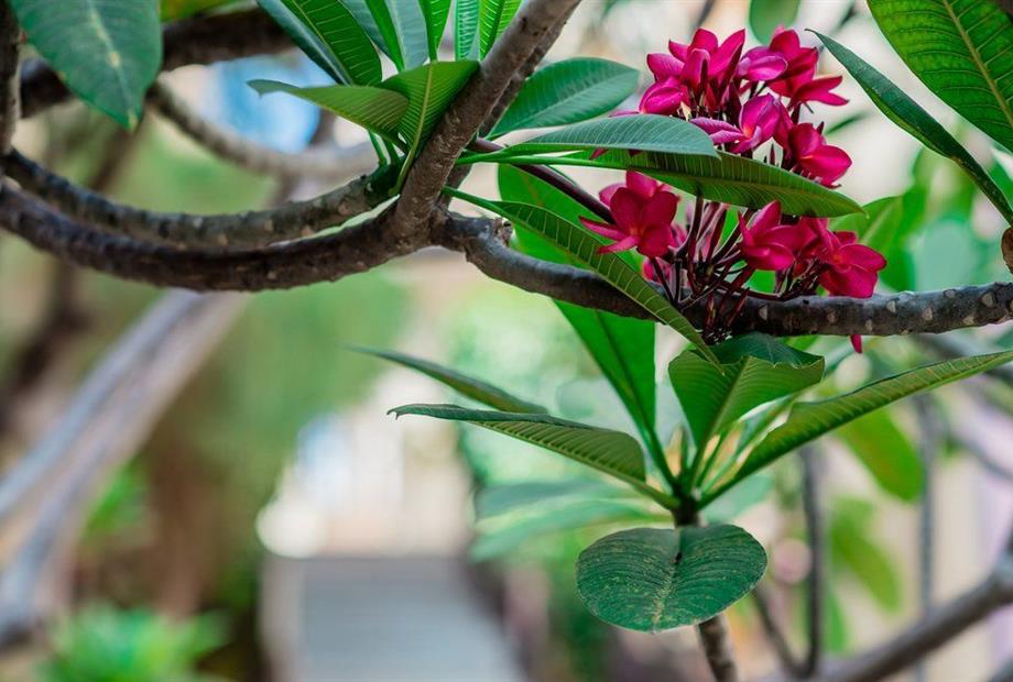 hotel (94) small.jpg