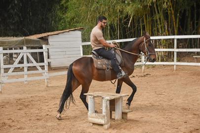 whatsapp image 2024-02-14 at 08.46.29 (1).jpeg