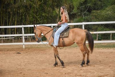 whatsapp image 2024-02-14 at 08.46.28.jpeg