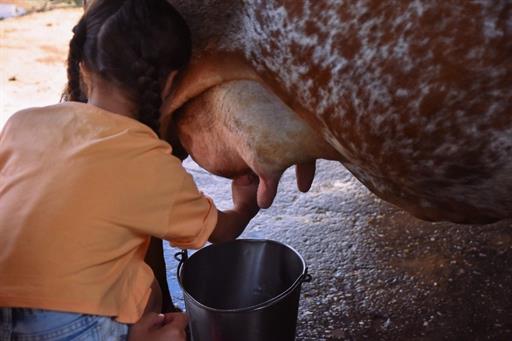 whatsapp image 2024-02-14 at 08.46.26.jpeg