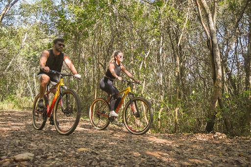 whatsapp image 2024-02-14 at 08.46.32 (2).jpeg