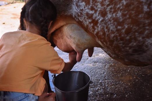 whatsapp image 2024-02-14 at 08.46.26.jpeg