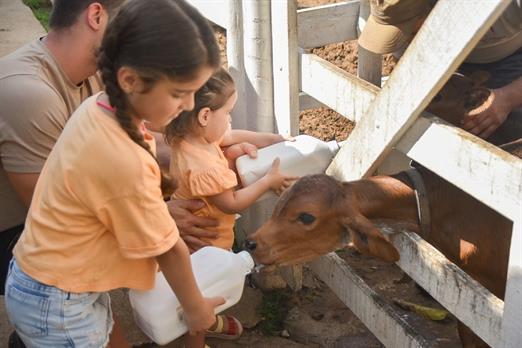 whatsapp image 2024-02-14 at 08.46.27.jpeg