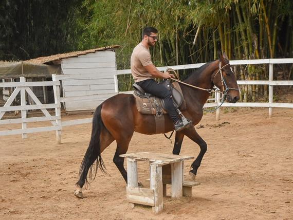 whatsapp image 2024-02-14 at 08.46.29 (1).jpeg