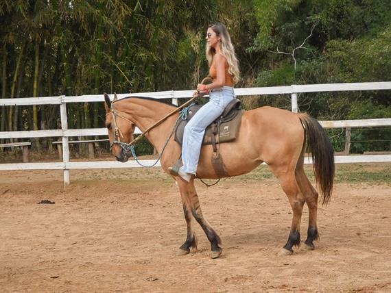 whatsapp image 2024-02-14 at 08.46.28.jpeg