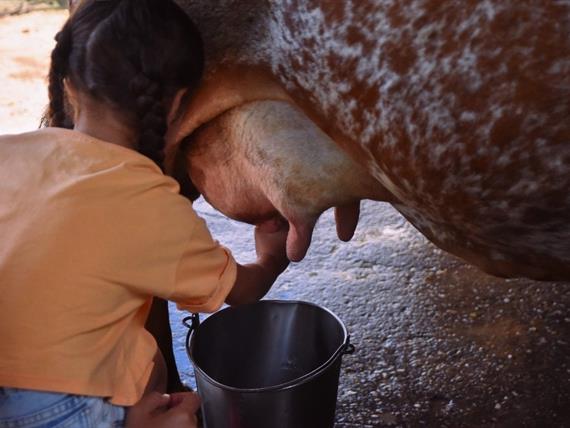 whatsapp image 2024-02-14 at 08.46.26.jpeg