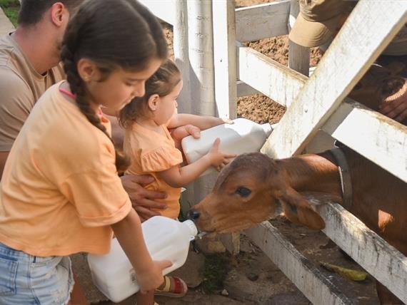 whatsapp image 2024-02-14 at 08.46.27.jpeg