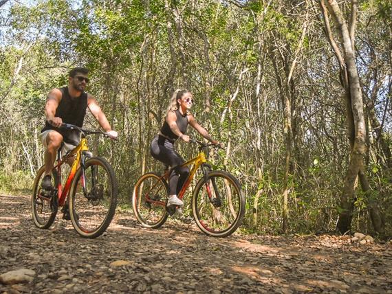 whatsapp image 2024-02-14 at 08.46.32 (2).jpeg