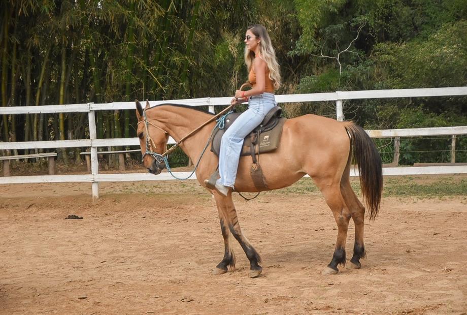 whatsapp image 2024-02-14 at 08.46.28.jpeg