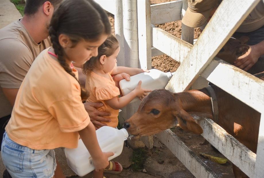 whatsapp image 2024-02-14 at 08.46.27.jpeg