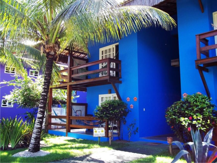 arara azul baixa reso.jpg