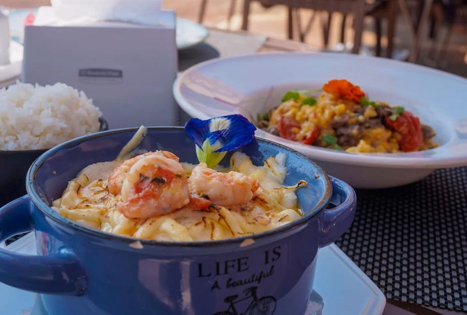 cópia de dsc01673.jpg