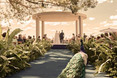 0050 (1)_easy-resize.com (2).jpg