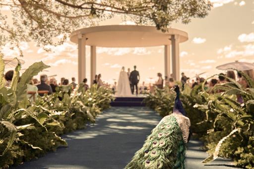 0050 (1)_easy-resize.com (2).jpg