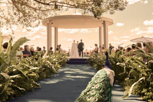 0050 (1)_easy-resize.com (2).jpg