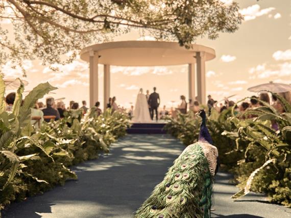 0050 (1)_easy-resize.com (2).jpg