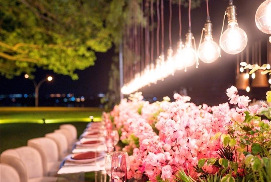 030_@feliixfotografo-31_easy-resize.com (1).jpg