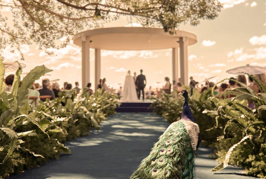 0050 (1)_easy-resize.com (2).jpg