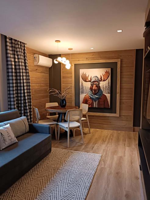 suite-alpestre-sala.jpg