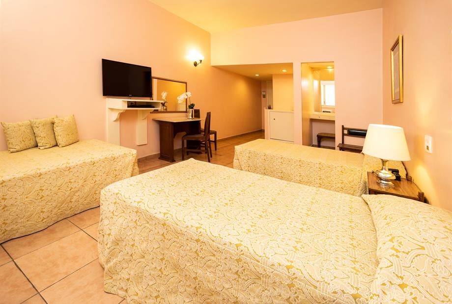 standard triplo fundo.jpg