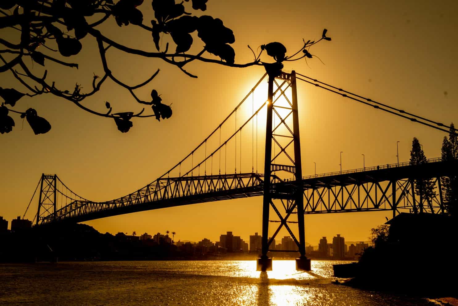 Imagen ilustrativa del hotel Castelmar Hotel