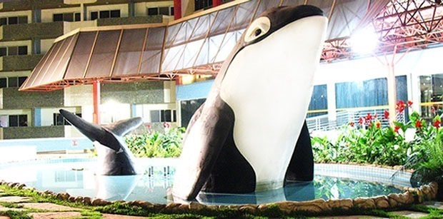 sld_front_baleia.jpg