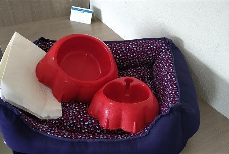 kit pet friendly - motor.jpg