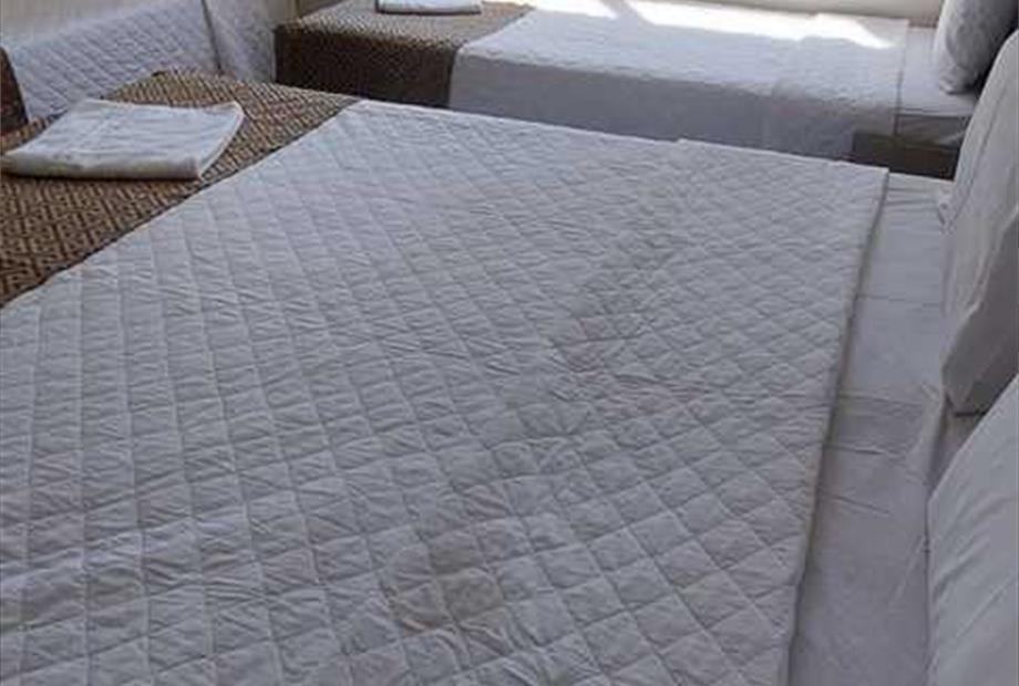 whatsapp image 2023-02-08 at 14.41.54.jpeg