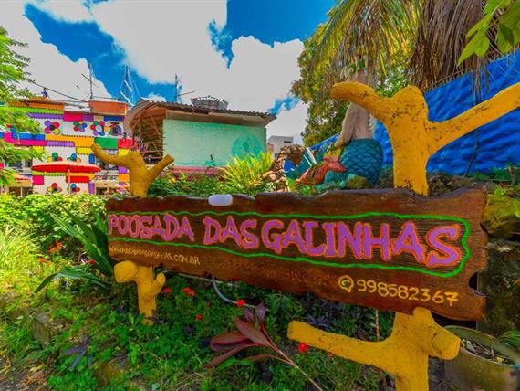 whatsapp image 2024-09-13 at 01.01.44.jpeg