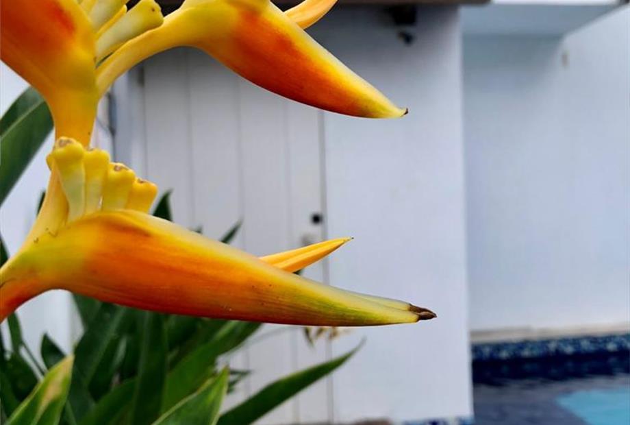 whatsapp image 2023-02-18 at 19.54.36 (17).jpeg