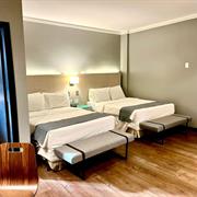 STANDARD COM 02 CAMAS