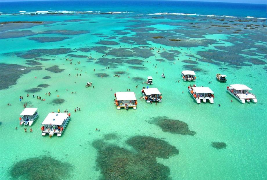 barquito omnibees.jpg