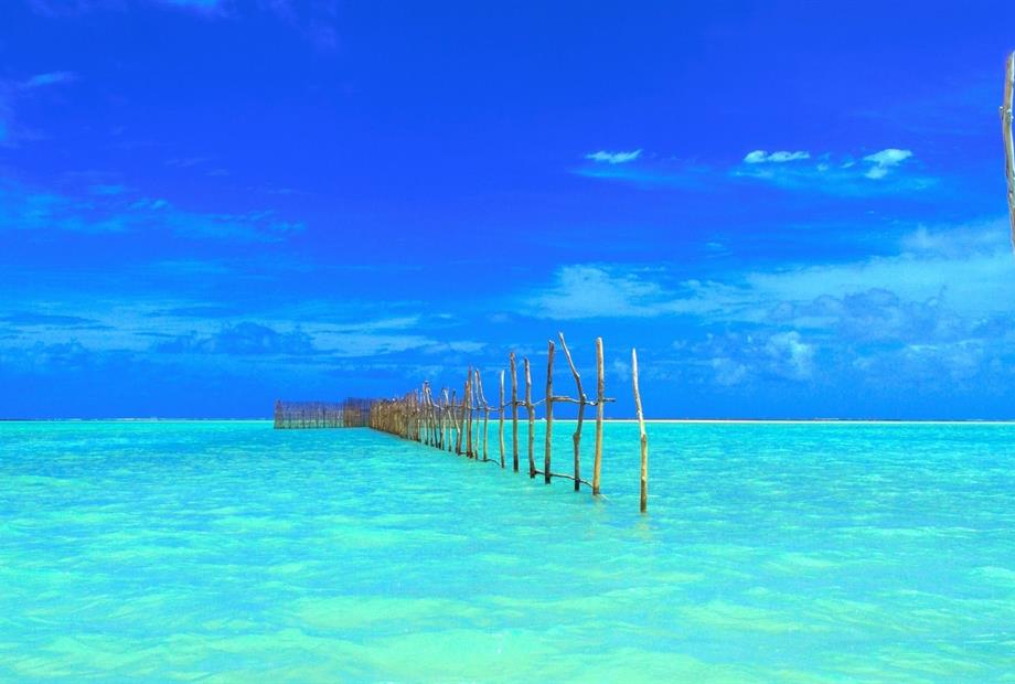 design sem nome (2).jpg